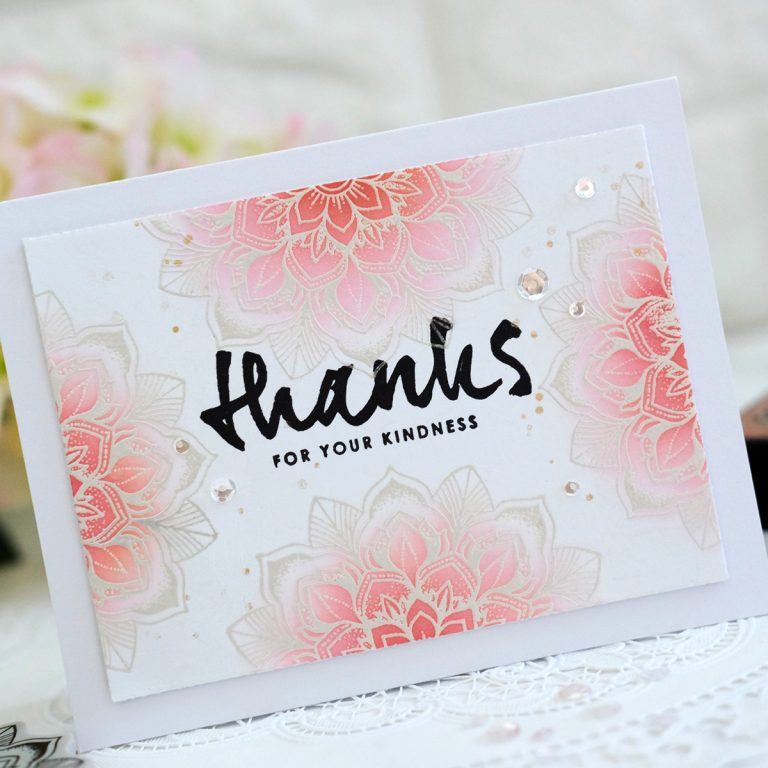 Just Add Color Collection by Stephanie Low - Inspiration | Clean & Simple Stamped Cards with Vera Rhuhay for Spellbinders