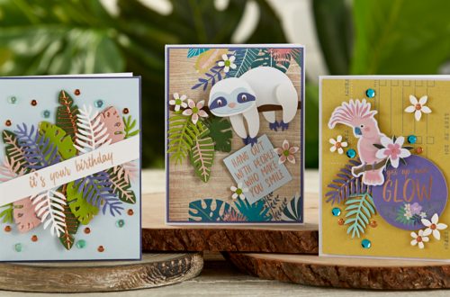 Spellbinders August 2019 Card Kit of the Month is Here – Hang With Me