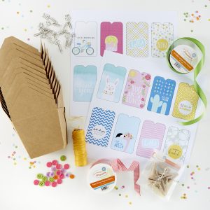 FSJ Delivered Bundles: Hello Delivered & Love Delivered Kits | Deliver the perfect goody bag with this fun kit! Fill these charming boxes with cookies, popcorn, toys or anything your heart desires. Simply add one of our pre-designed tags and deliver to the doorstep of your family, friends and neighbors. #NeverStopMaking 