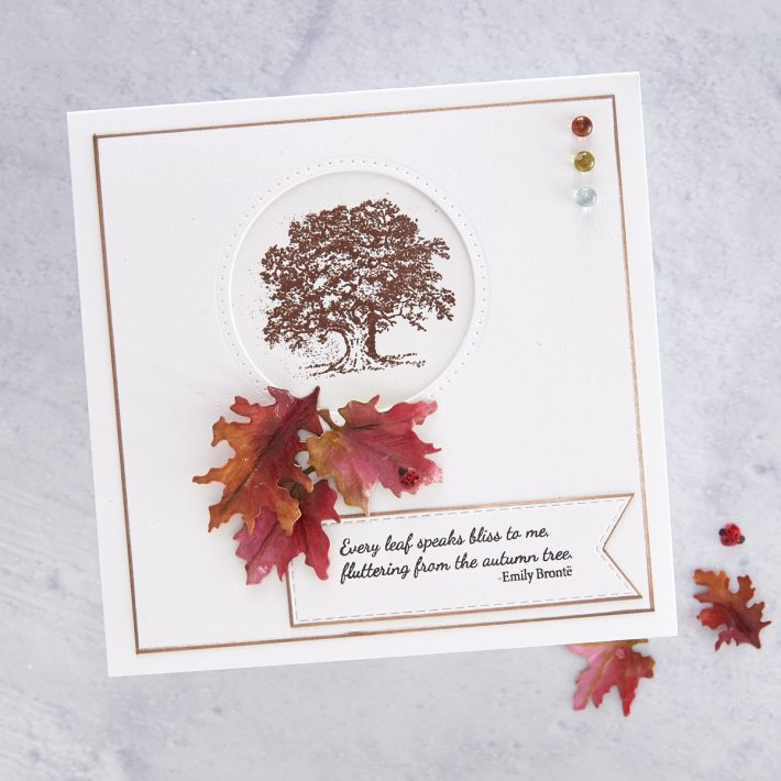 What's New at Spellbinders | Autumn Flora Collection by Susan Tierney-Cockburn. STP-024 Autumn Quotes #Spellbinders #NeverStopMaking #PaperFlowers #DieCutting #Cardmaking